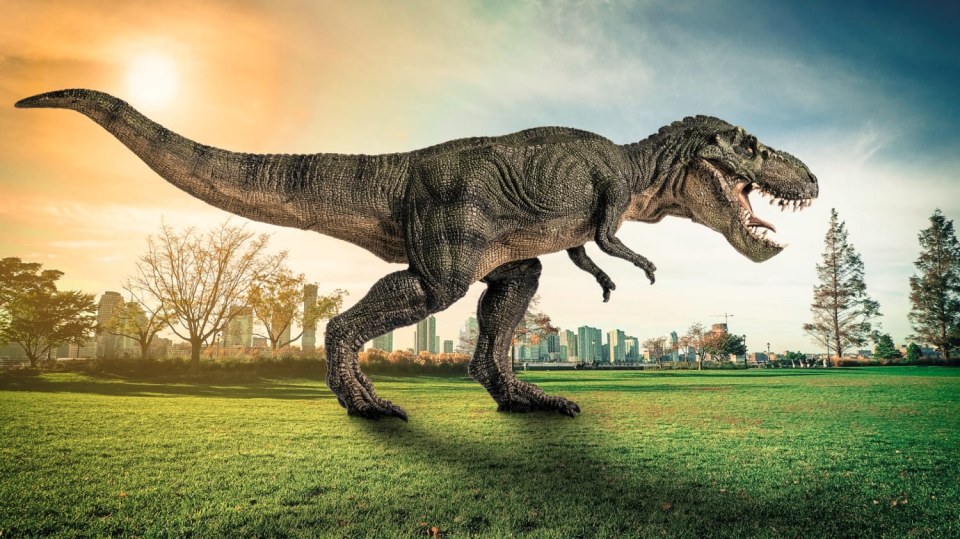 Tyranosaurus rex